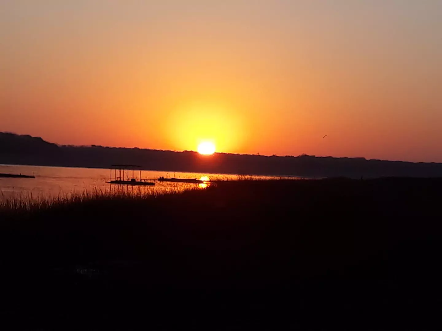 GESTÃO AQUÍCOLA ][ TCU determina medidas para modernizar aquicultura no Brasil